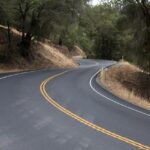 Exploring Bio-Inspired Navigation Systems for Autonomous Vehicles