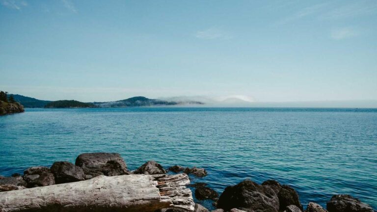 Who Owns And Manages The 11Xplay Brand?