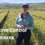 Unlock the Power of Reddy Anna ID: A Complete Guide for Modern Professionals